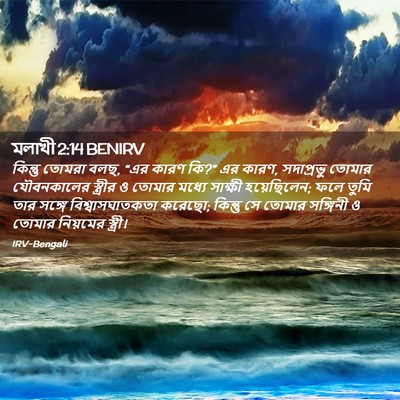 Picture 02 - মলাখী 2:14 BENIRV - কিন্তু তোমরা বলছ, - Bible Verse Picture