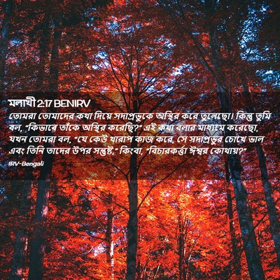 Picture 02 - মলাখী 2:17 BENIRV - তোমরা তোমাদের কথা - Bible Verse Picture