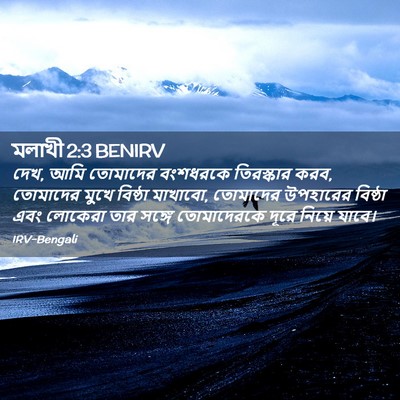 Picture 02 - মলাখী 2:3 BENIRV - দেখ, আমি তোমাদের - Bible Verse Picture