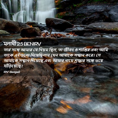 Picture 02 - মলাখী 2:5 BENIRV - তার সঙ্গে আমার যে - Bible Verse Picture