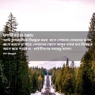 Picture 02 - মলাখী 3:11 BENIRV - আমি গ্রাসকারীকে - Bible Verse Picture