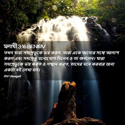 Picture 02 - মলাখী 3:16 BENIRV - তখন যারা - Bible Verse Picture