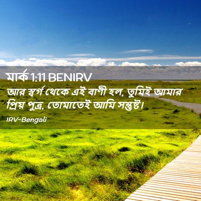 Picture 02 - মার্ক 1:11 BENIRV - আর স্বর্গ থেকে এই - Bible Verse Picture