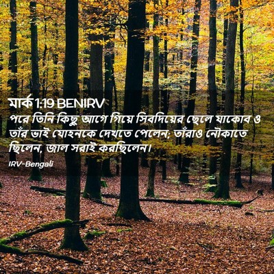 Picture 02 - মার্ক 1:19 BENIRV - পরে তিনি কিছু আগে - Bible Verse Picture