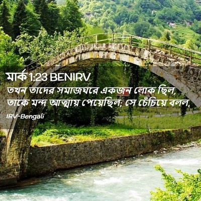 Picture 02 - মার্ক 1:23 BENIRV - তখন তাদের সমাজঘরে - Bible Verse Picture
