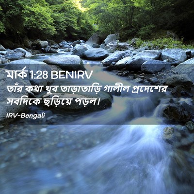 Picture 02 - মার্ক 1:28 BENIRV - তাঁর কথা খুব - Bible Verse Picture