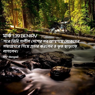 Picture 02 - মার্ক 1:39 BENIRV - পরে তিনি গালীল - Bible Verse Picture
