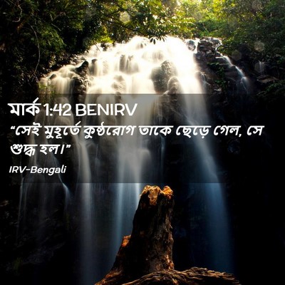 Picture 02 - মার্ক 1:42 BENIRV - “সেই মুহূর্তে - Bible Verse Picture