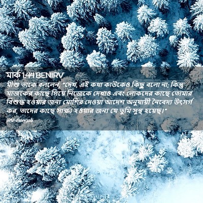 Picture 02 - মার্ক 1:44 BENIRV - যীশু তাকে বললেন, - Bible Verse Picture