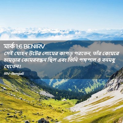 Picture 02 - মার্ক 1:6 BENIRV - সেই যোহন উটের - Bible Verse Picture