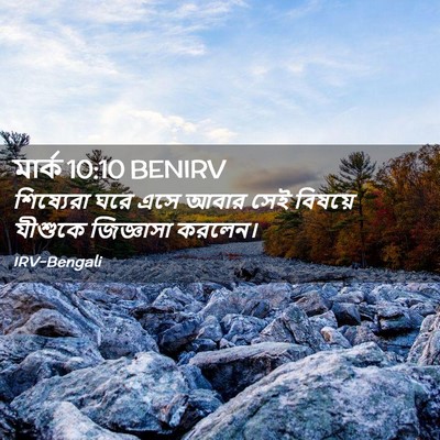 Picture 02 - মার্ক 10:10 BENIRV - শিষ্যেরা ঘরে এসে - Bible Verse Picture