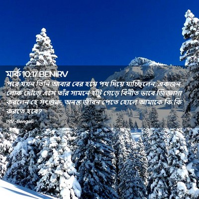 Picture 02 - মার্ক 10:17 BENIRV - পরে যখন তিনি আবার - Bible Verse Picture