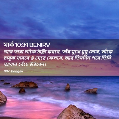 Picture 02 - মার্ক 10:34 BENIRV - আর তারা তাঁকে - Bible Verse Picture