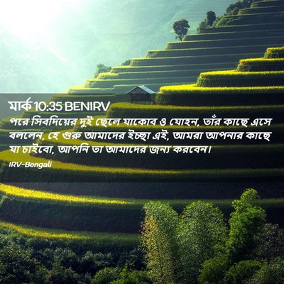 Picture 02 - মার্ক 10:35 BENIRV - পরে সিবদিয়ের দুই - Bible Verse Picture