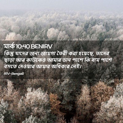 Picture 02 - মার্ক 10:40 BENIRV - কিন্তু যাদের জন্য - Bible Verse Picture