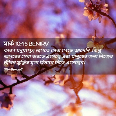 Picture 02 - মার্ক 10:45 BENIRV - কারণ মনুষ্যপুত্র - Bible Verse Picture