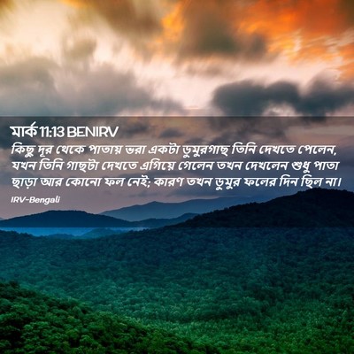 Picture 02 - মার্ক 11:13 BENIRV - কিছু দূর থেকে - Bible Verse Picture