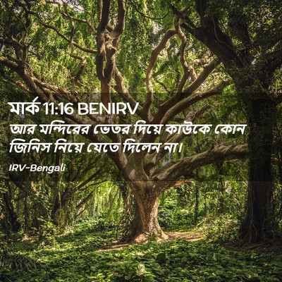 Picture 02 - মার্ক 11:16 BENIRV - আর মন্দিরের ভেতর - Bible Verse Picture