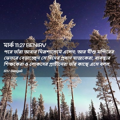 Picture 02 - মার্ক 11:27 BENIRV - পরে তাঁরা আবার - Bible Verse Picture