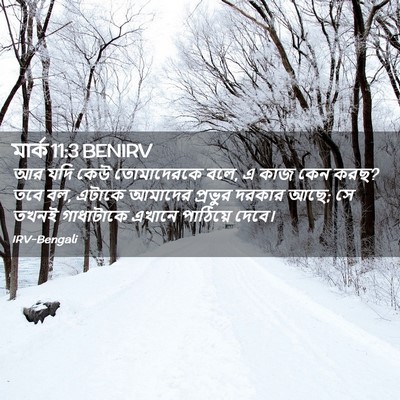 Picture 02 - মার্ক 11:3 BENIRV - আর যদি কেউ - Bible Verse Picture