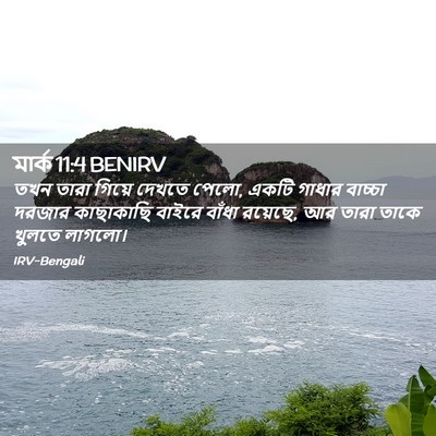 Picture 02 - মার্ক 11:4 BENIRV - তখন তারা গিয়ে - Bible Verse Picture