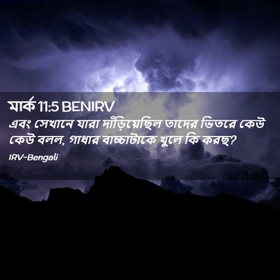 Picture 02 - মার্ক 11:5 BENIRV - এবং সেখানে যারা - Bible Verse Picture