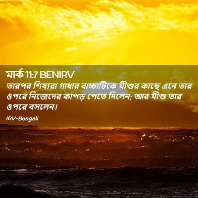 Picture 02 - মার্ক 11:7 BENIRV - তারপর শিষ্যরা - Bible Verse Picture