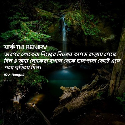 Picture 02 - মার্ক 11:8 BENIRV - তারপর লোকেরা - Bible Verse Picture