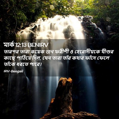 Picture 02 - মার্ক 12:13 BENIRV - তারপর তারা কয়েক - Bible Verse Picture