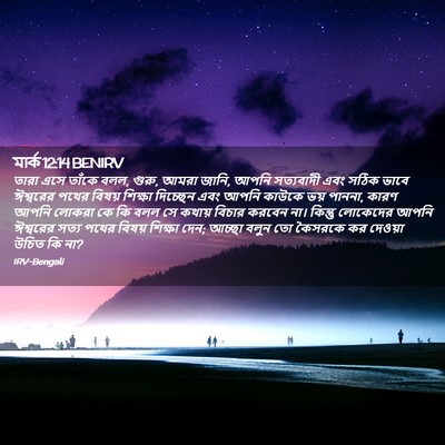 Picture 02 - মার্ক 12:14 BENIRV - তারা এসে তাঁকে বলল, - Bible Verse Picture