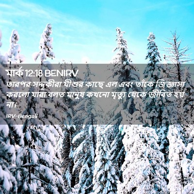 Picture 02 - মার্ক 12:18 BENIRV - তারপর সদ্দূকীরা - Bible Verse Picture