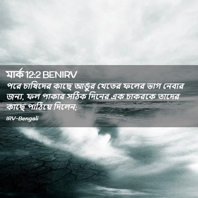 Picture 02 - মার্ক 12:2 BENIRV - পরে চাষিদের কাছে - Bible Verse Picture
