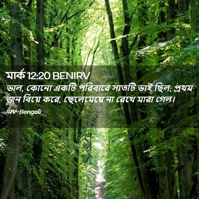 Picture 02 - মার্ক 12:20 BENIRV - ভাল, কোনো একটি - Bible Verse Picture