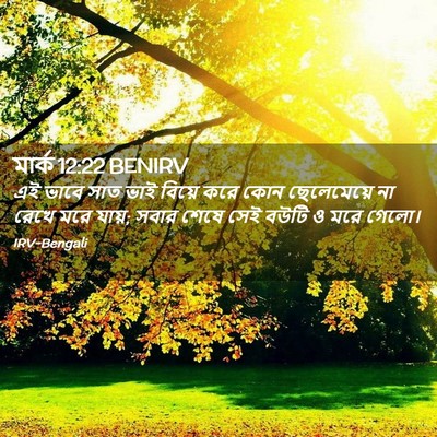 Picture 02 - মার্ক 12:22 BENIRV - এই ভাবে সাত ভাই - Bible Verse Picture