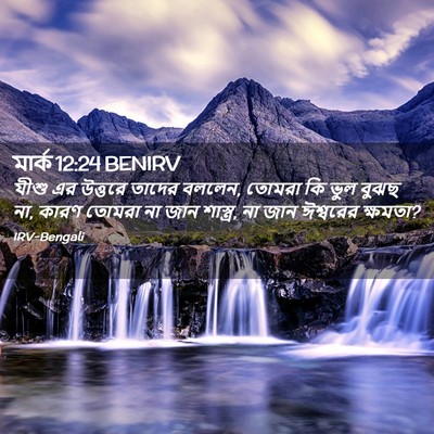 Picture 02 - মার্ক 12:24 BENIRV - যীশু এর উত্তরে - Bible Verse Picture