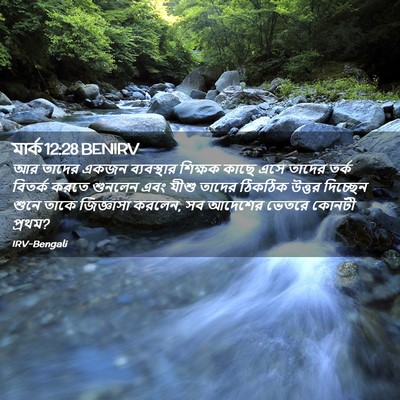 Picture 02 - মার্ক 12:28 BENIRV - আর তাদের একজন - Bible Verse Picture