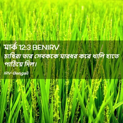 Picture 02 - মার্ক 12:3 BENIRV - চাষিরা তার সেবককে - Bible Verse Picture