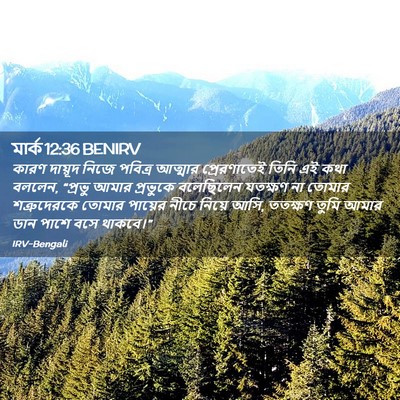 Picture 02 - মার্ক 12:36 BENIRV - কারণ দায়ূদ নিজে - Bible Verse Picture