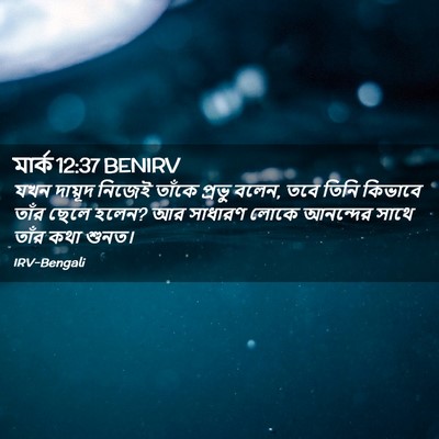 Picture 02 - মার্ক 12:37 BENIRV - যখন দায়ূদ নিজেই - Bible Verse Picture