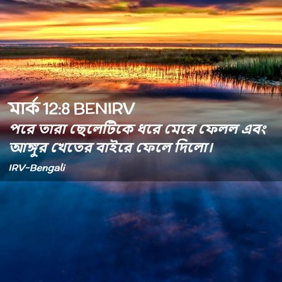 Picture 02 - মার্ক 12:8 BENIRV - পরে তারা ছেলেটিকে - Bible Verse Picture