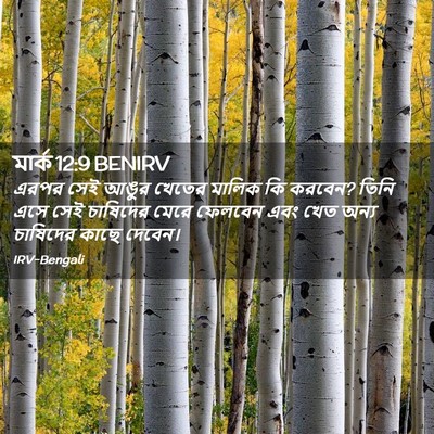 Picture 02 - মার্ক 12:9 BENIRV - এরপর সেই আঙুর - Bible Verse Picture