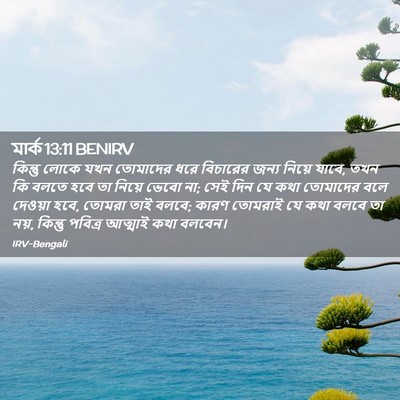 Picture 02 - মার্ক 13:11 BENIRV - কিন্তু লোকে যখন - Bible Verse Picture