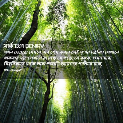 Picture 02 - মার্ক 13:14 BENIRV - যখন তোমরা দেখবে, সব - Bible Verse Picture