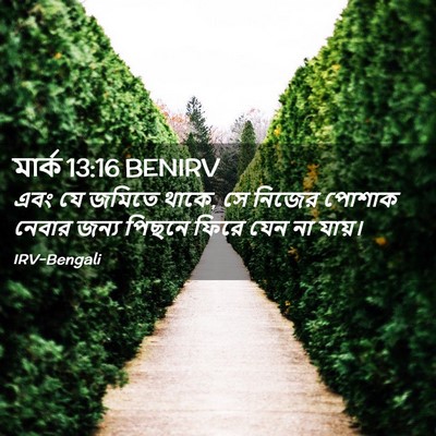Picture 02 - মার্ক 13:16 BENIRV - এবং যে জমিতে থাকে, - Bible Verse Picture