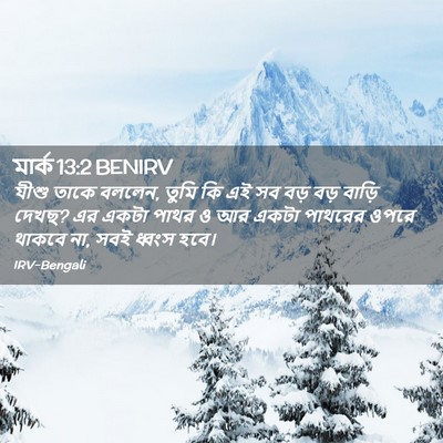 Picture 02 - মার্ক 13:2 BENIRV - যীশু তাকে বললেন, - Bible Verse Picture