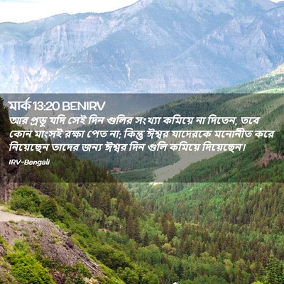 Picture 02 - মার্ক 13:20 BENIRV - আর প্রভু যদি সেই - Bible Verse Picture