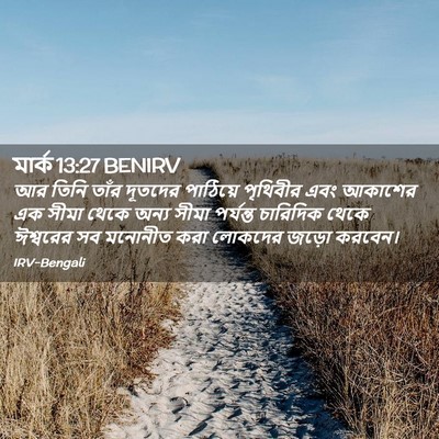 Picture 02 - মার্ক 13:27 BENIRV - আর তিনি তাঁর - Bible Verse Picture