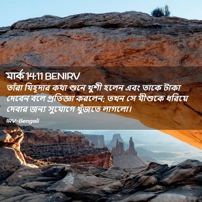 Picture 02 - মার্ক 14:11 BENIRV - তাঁরা যিহূদার কথা - Bible Verse Picture