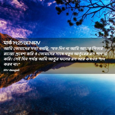 Picture 02 - মার্ক 14:25 BENIRV - আমি তোমাদের সত্য - Bible Verse Picture