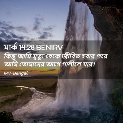 Picture 02 - মার্ক 14:28 BENIRV - কিন্তু আমি মৃত্যু - Bible Verse Picture